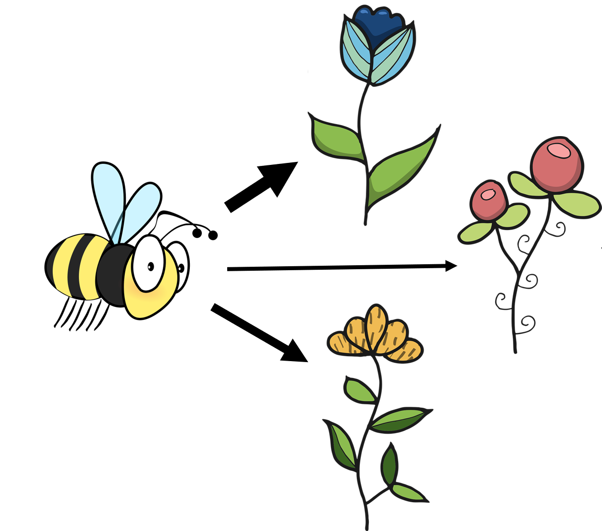 The bee in this example prefers visiting the blue flower, while visiting the red and yellow flowers less often. The interaction strength between the bee and the blue flower is thus stronger than the interaction strength between the bee and the red and yellow flowers as indicated by the weight of the arrows.