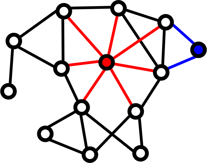 Some nodes in a network have a high degree like the node and its edges in red. Other nodes have a low degree like the node and its edges in blue. The heterogeneity of the node degrees taken over all the nodes in the network is related to the network complexity.