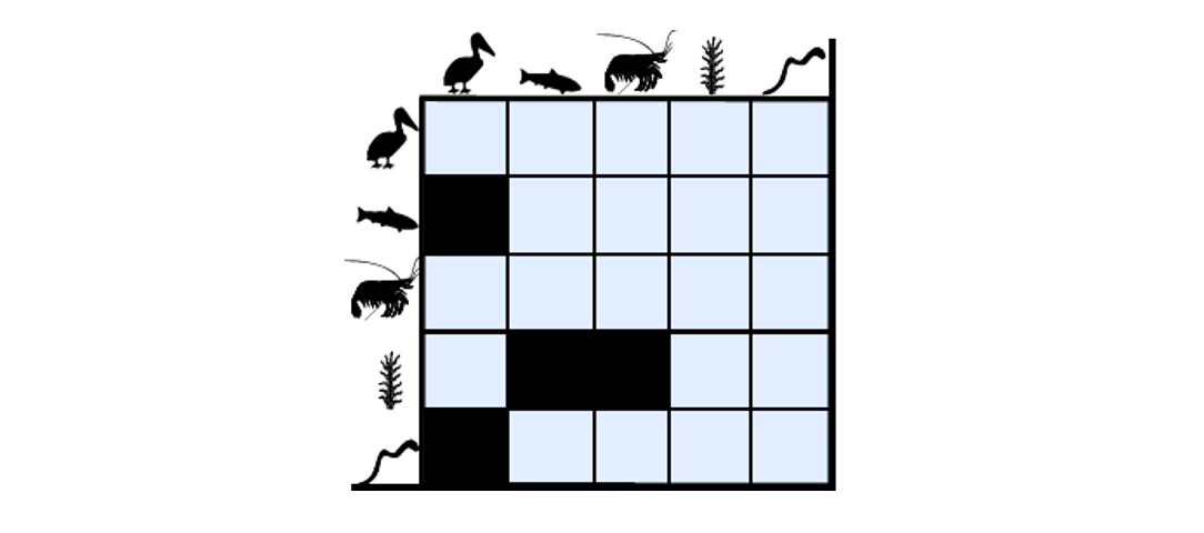 Example of a food network represented as a matrix. The species on the rows are eaten by the species on the columns. For instance, the birds eat the fish and the worms. (taken from [xii])